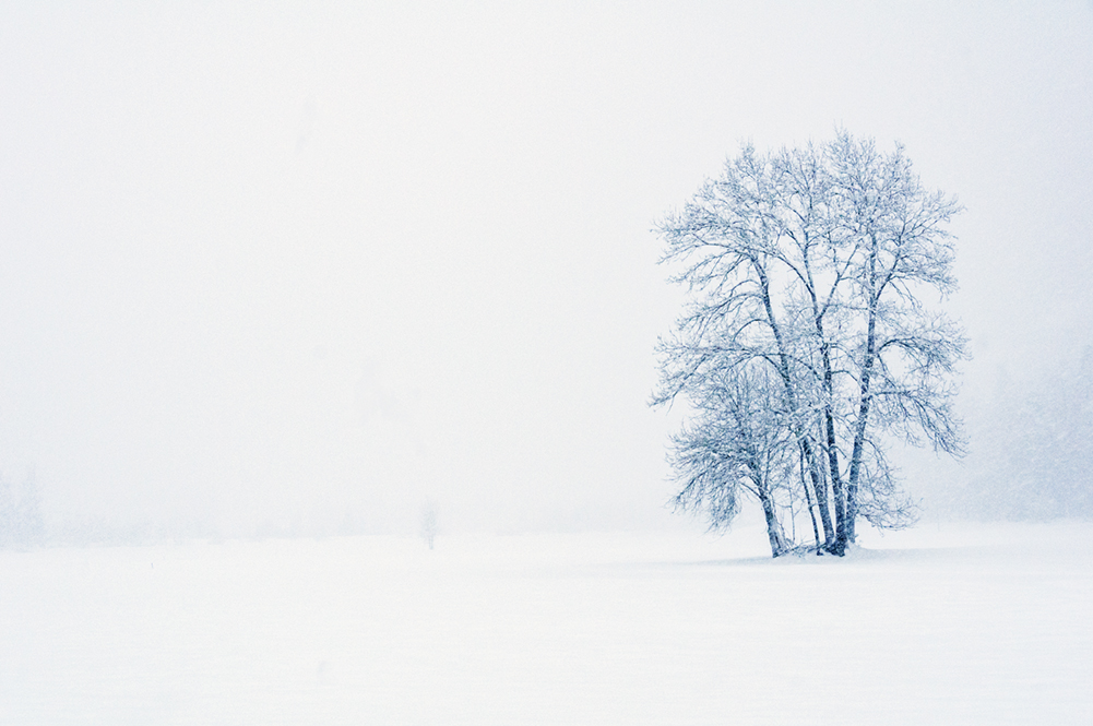 Bertrand Lacorre-Ranza - Silence